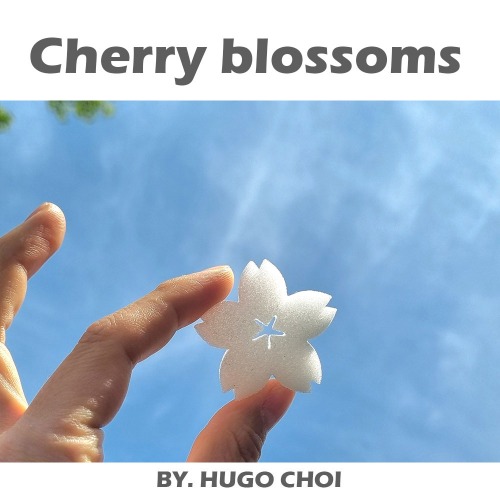 cherry blossoms (벚꽃 스펀지)cherry blossoms (벚꽃 스펀지)