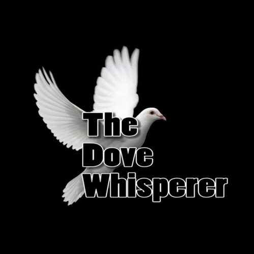 [선착순 50% 할인] 더 도브 위스퍼러 The Dove Whisperer (part1 part2 합본팩) (교육 동영상 USB) 비둘기마술[선착순 50% 할인] 더 도브 위스퍼러 The Dove Whisperer (part1 part2 합본팩) (교육 동영상 USB) 비둘기마술