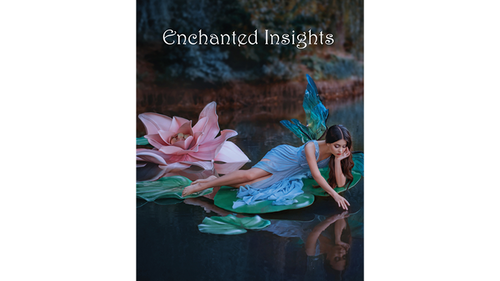 ENCHANTED INSIGHTS BLUE (German Instruction) by Magic Entertainment Solutions - Trick