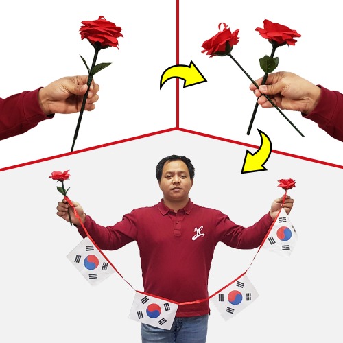 Rose silk to Blendo _ The National Flag Of Korea - Magic Tools Magic Supplies