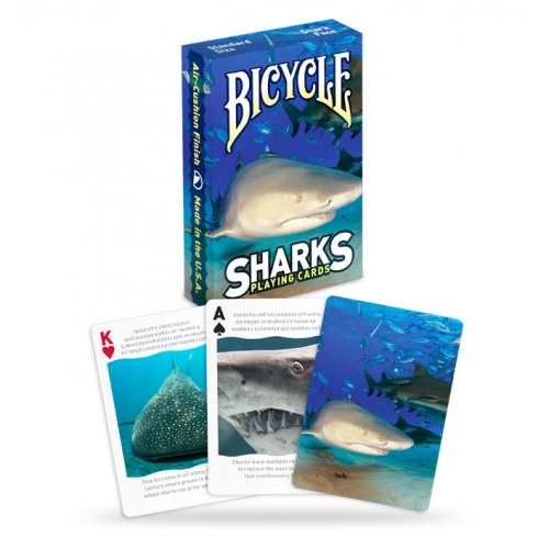 바이시클 샤크덱 (bicycle shark deck)