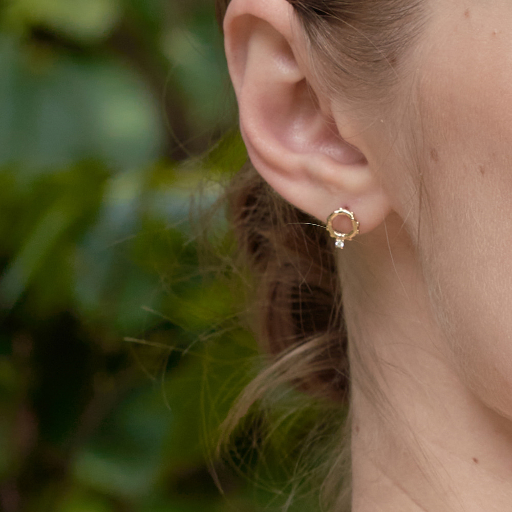 Dazzling stone earrings