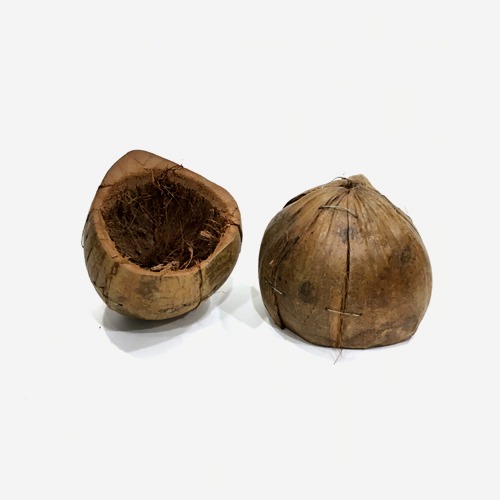 조인폴리아 행잉 천연 코코넛 보울/코코박 [철사고리포함]