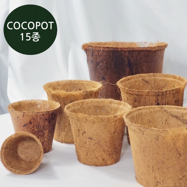 친환경 코코넛팟 15종 모음 (묶음판매)