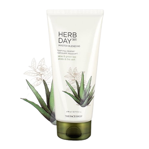 THE FACE SHOP Herb Day 365 Master Blending Facial Cleansing Foam Aloe &amp; Green tea 170ml