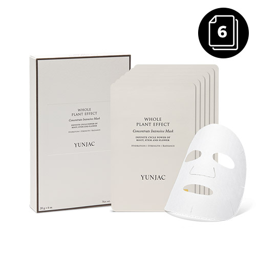 YUNJAC WHOLE PLANT EFFECT CONCENTRATE INTENSIVE MASK 20g * 6ea