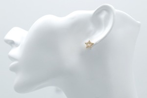 Star Cubic Earrings Post
