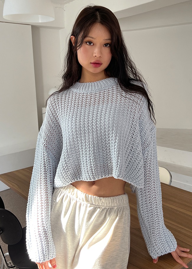 Extended Sleeve Cropped Knit Top