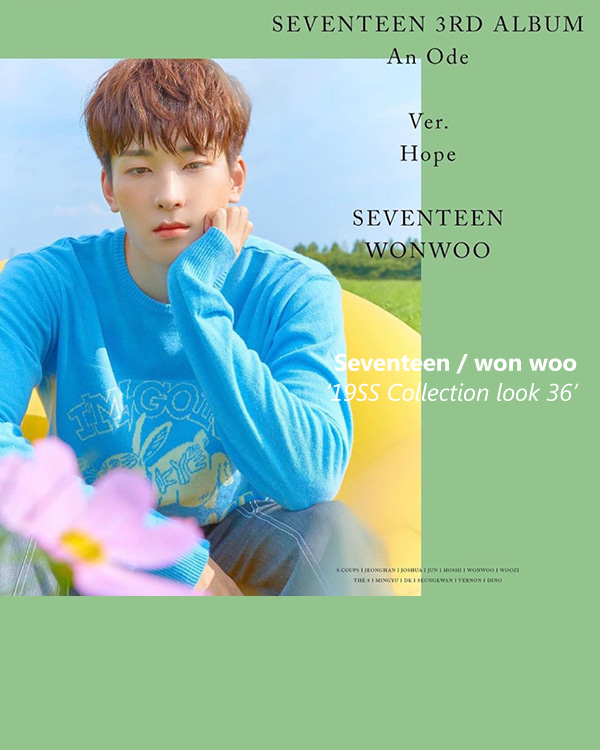 Seventeen_wonwoo