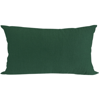 30 Essology Green Cushion 30 에쏠로지 그린 쿠션