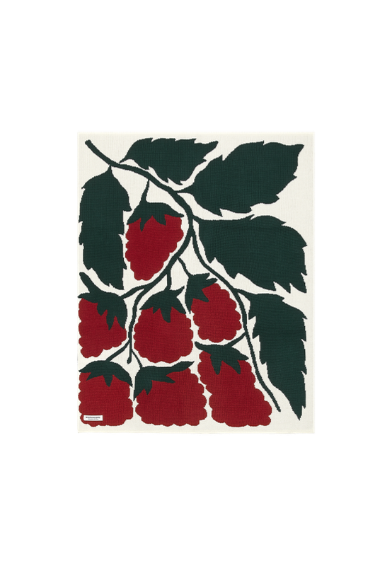 Raspberries Blanket by Liv Lee  라즈베리 담요 by 리브 리