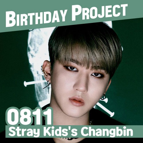 SARANG] Stray Kids' Changbin BIRTHDAY PROJECT - KShopLive.com