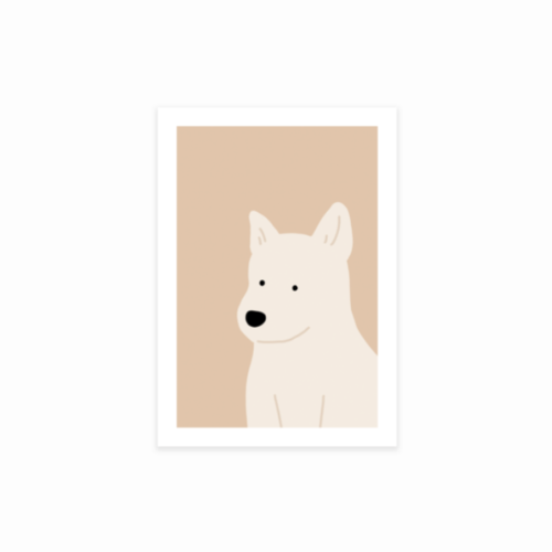 JINDO DOG postcard