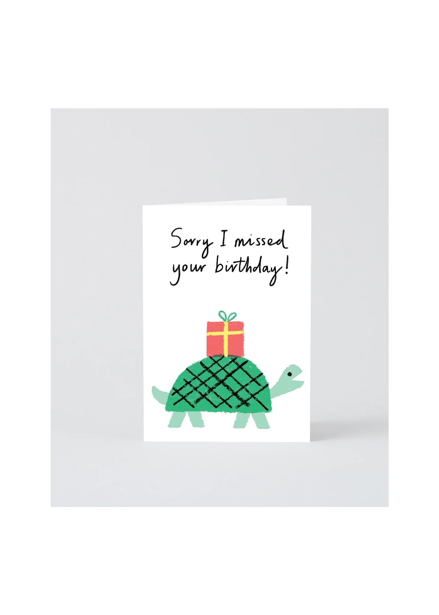 Sorry I Missed Tortoise