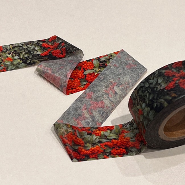[자그네] pyracantha masking tape