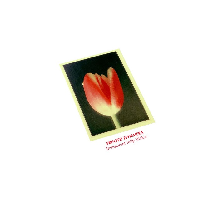 [런드리타일] Transparent Tulip (sticker)