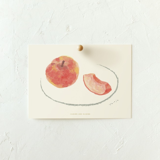 [후긴앤무닌] 드로잉카드 - peach