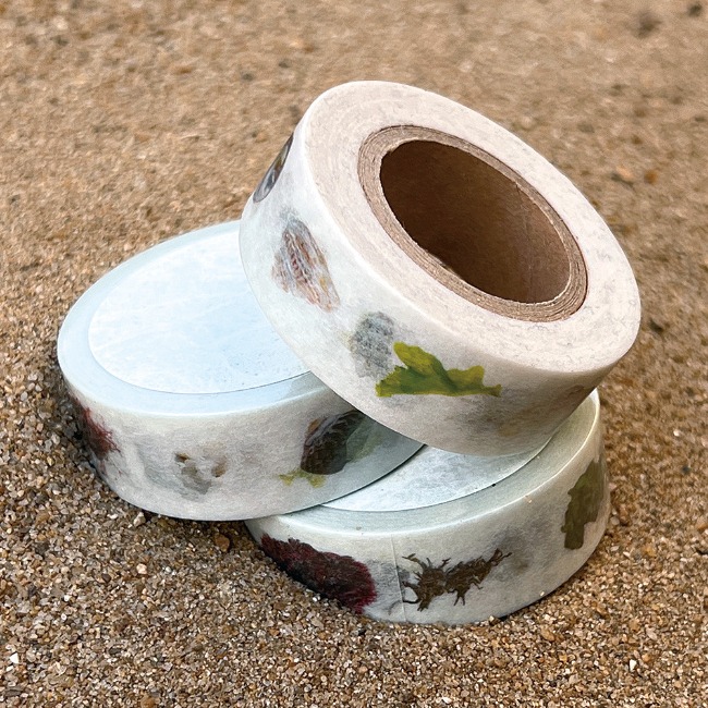 [자그네] udo beach masking tape