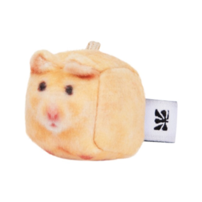 Mango, Golden Hamster