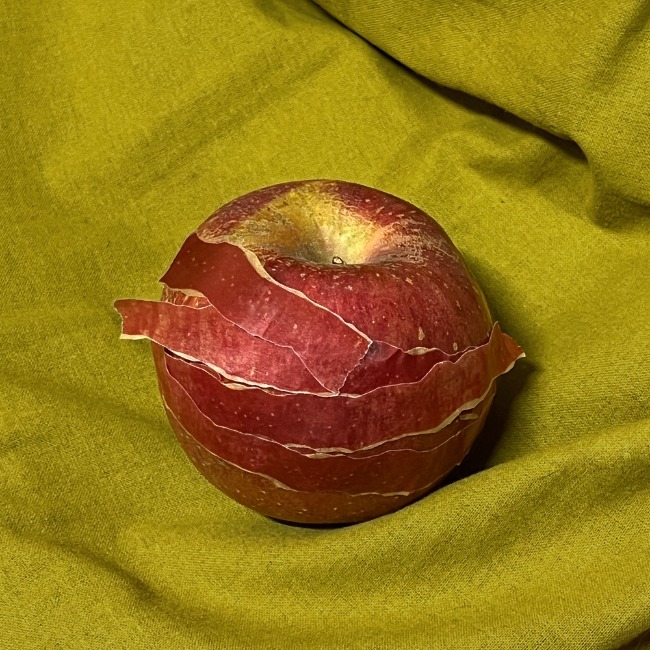 [자그네] apple peel masking tape