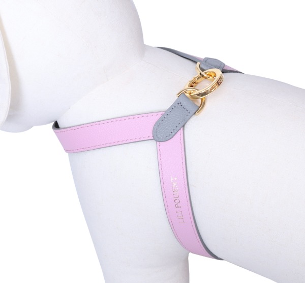 LILIPOUENT | Premium pet harness, collar & leash K-pet brand from