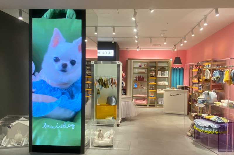 Louisdog boutique best sale