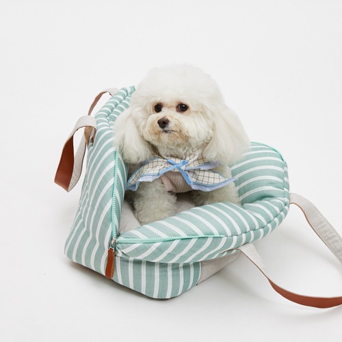 Carrier - louisdog