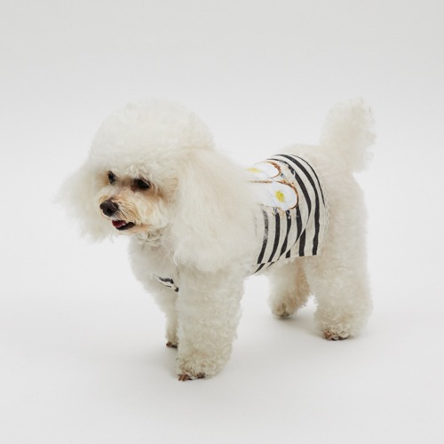 DRESS UP - louisdog