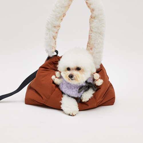 Carrier - louisdog