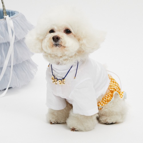 DRESS UP - louisdog