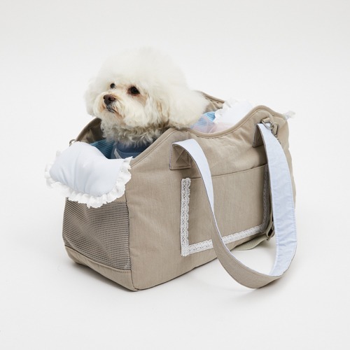 Carrier - louisdog