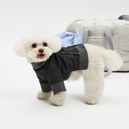 DRESS UP - louisdog