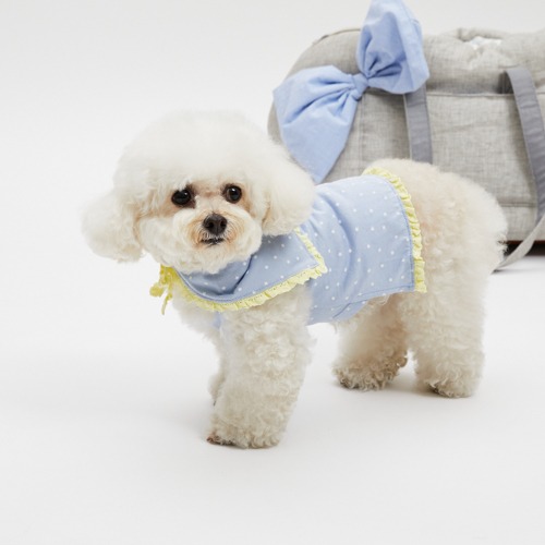 DRESS UP - louisdog