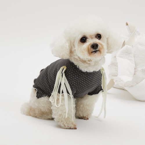 DRESS UP - louisdog