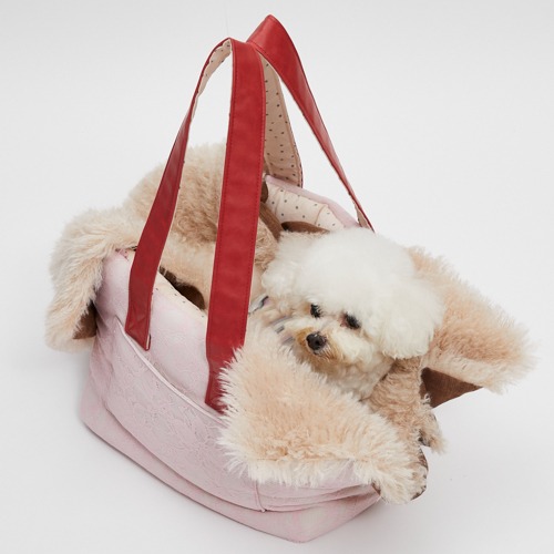 Carrier - louisdog