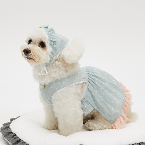 louisdog
