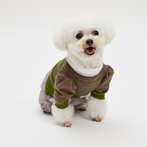 DRESS UP - louisdog
