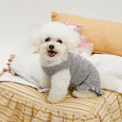DRESS UP - louisdog