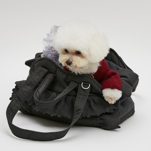 Carrier - louisdog