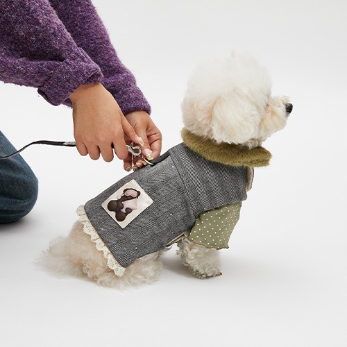 DRESS UP - louisdog