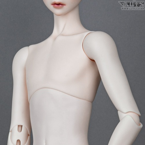 Senior Delf MUSE Body Type 2 Neck compatible ver - LUTS DOLL