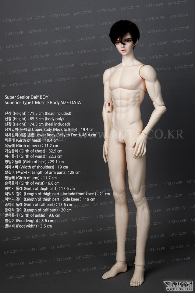 Super Senior Delf BOY Superior Body Muscle - LUTS DOLL