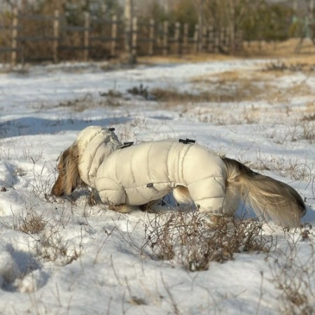 SSOOOK グースフィルダウンマントLサイズ　ベージュ SHOP - - SSOOOK