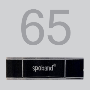 스포밴드 65 (spoband 65)