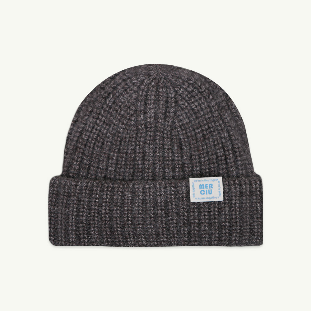21 F/W Knit hat - gray ( 당일 발송 )