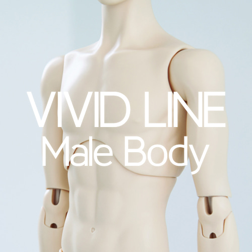 VIVID Male Body