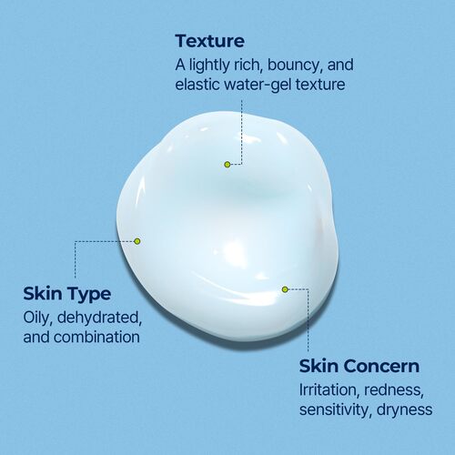 Torriden DIVE-IN Hyaluronic Acid Soothing Cream 100ml / 3.38 fl oz | Revitalizing Facial Moisturizer for Sensitive, Dry Skin | Fragrance-free, Alcohol-free, No Colorants | Vegan, Cruelty-Free | MYKOCO.COM