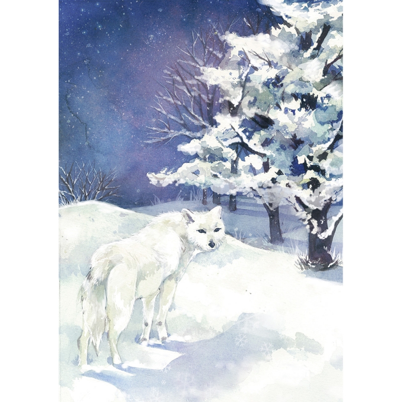 겨울 숲2 (Art Print)