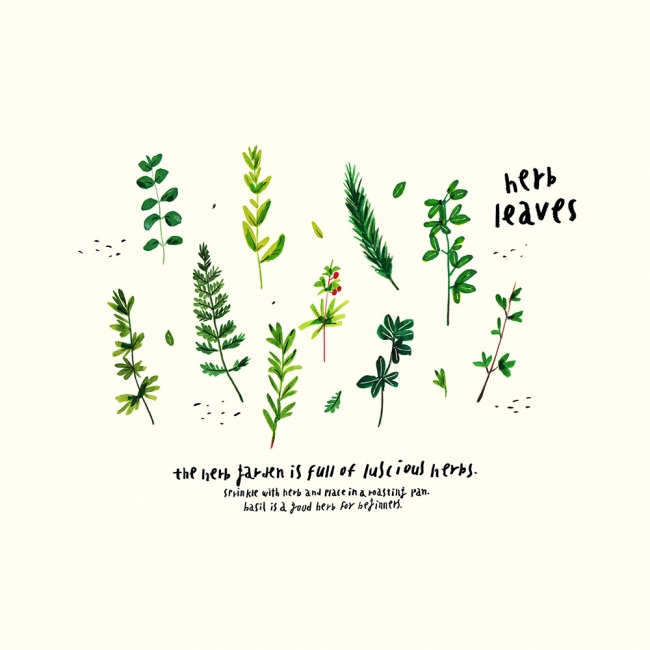 Herb leaves (Art Print)