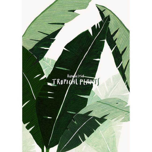 Tropical Plants (Art Print)